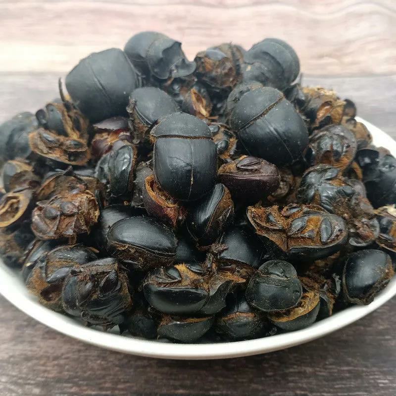 蜣螂干货干净无杂质量大从优欢迎选购！