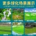 护坡草籽绿化狗牙根草坪种子高羊茅草籽马尼拉四季常青草种籽