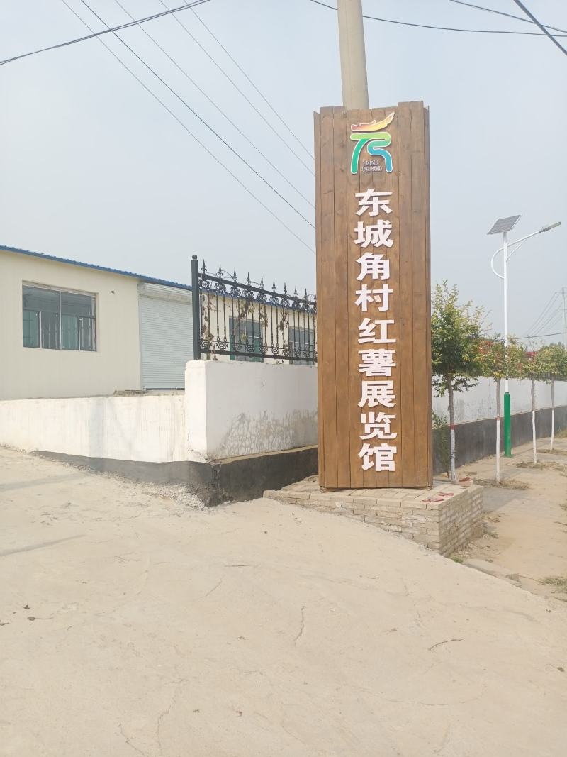 元氏县红薯