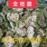 栝蒌，全瓜蒌，新货质量保证，经营各种中药材欢迎咨询选购