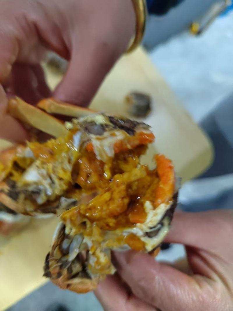 南京高淳固城湖大闸蟹，红膏蟹。无膏无黄包赔商超酒店专用。