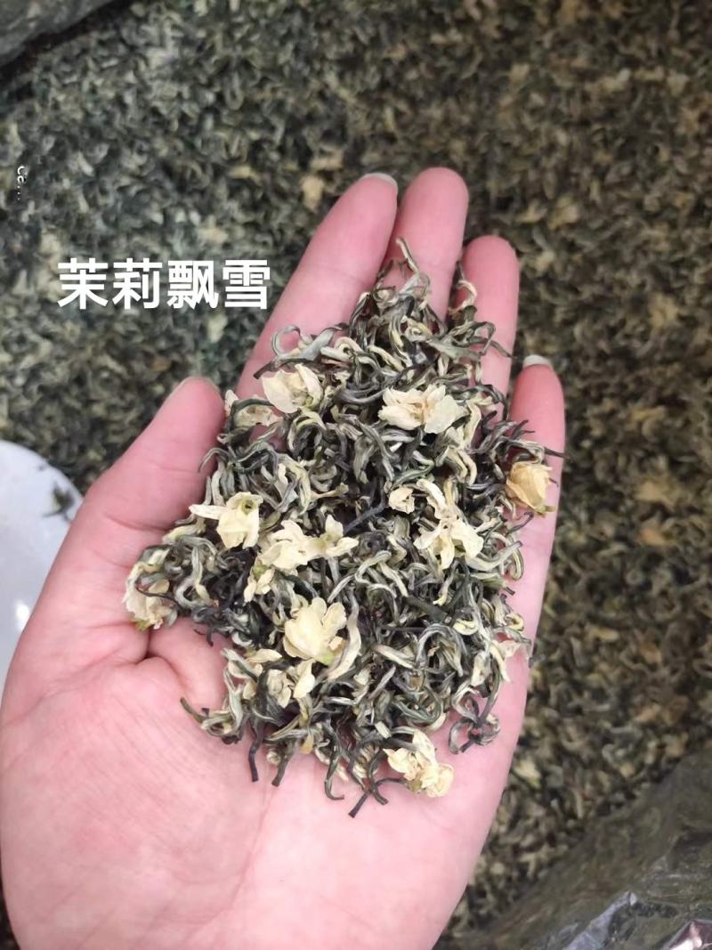 茉莉花茶2023新茶特级飘雪七窖浓香型一斤也是批发价！