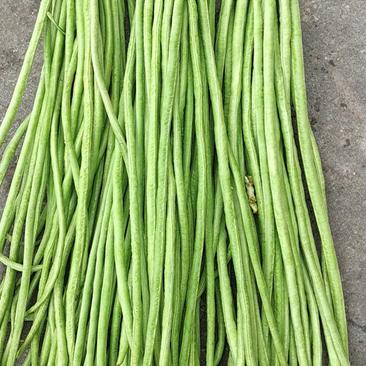 施甸县龙标蔬果发展有限公司蔬菜，长豇豆，豆角