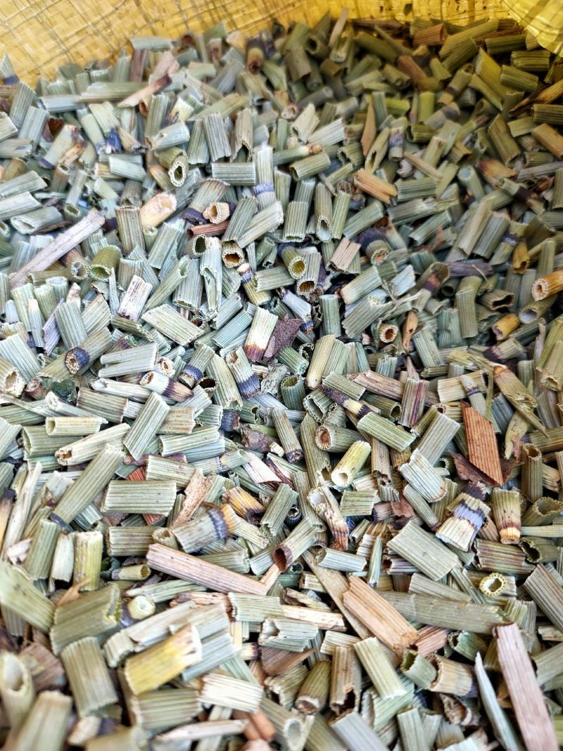 节节草木贼草新货中药材大量供应量大从优