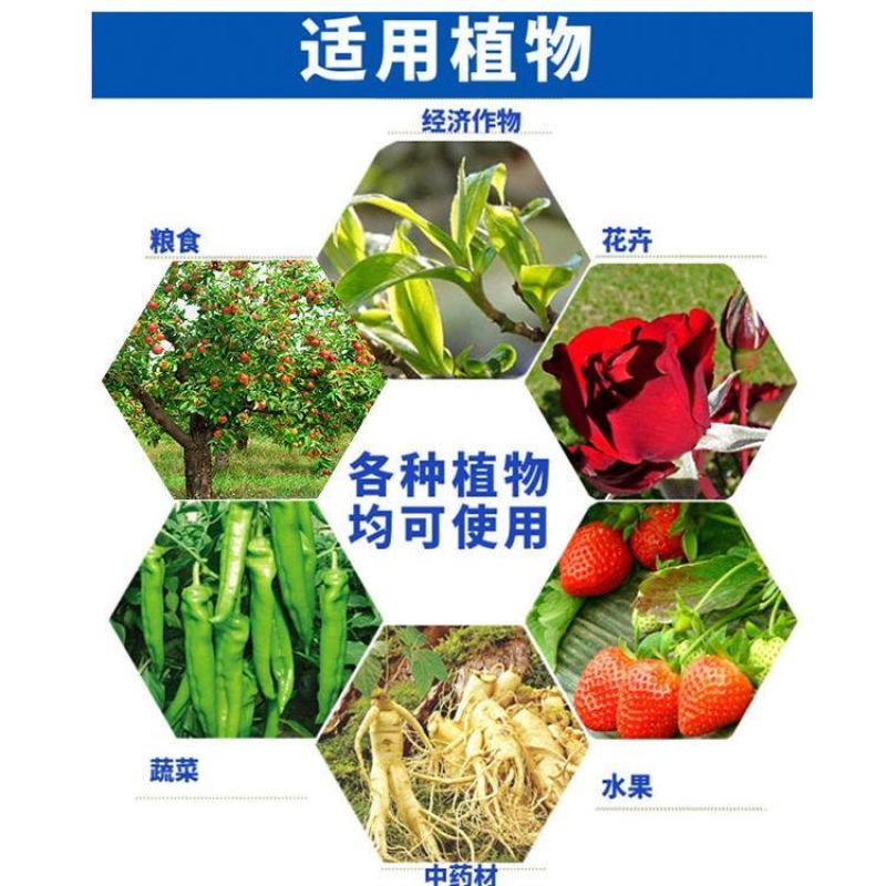 中保锋利12%甲维虫螨睛葱管虫钻心虫豆荚螟玉米虫杀虫剂