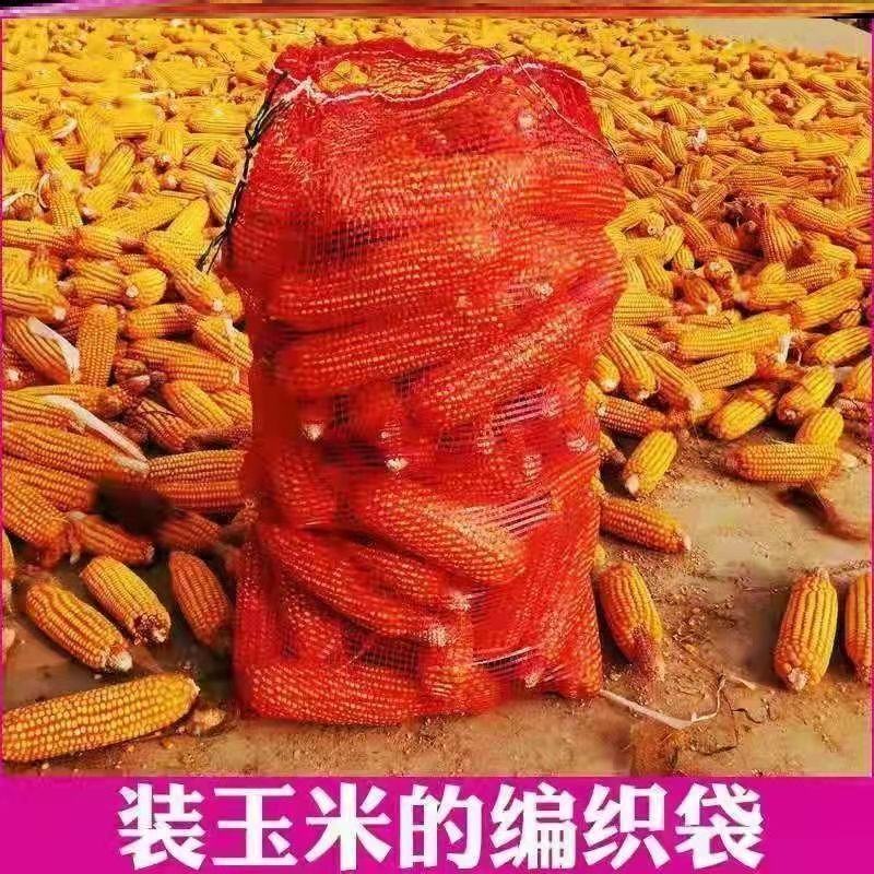 装玉米网袋土豆袋子网兜玉米网眼袋编织袋网眼袋批发红色大号
