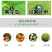 众联益农破甲蔬菜叶菜小白菜黄条跳甲专用农药杀虫剂啶虫脒