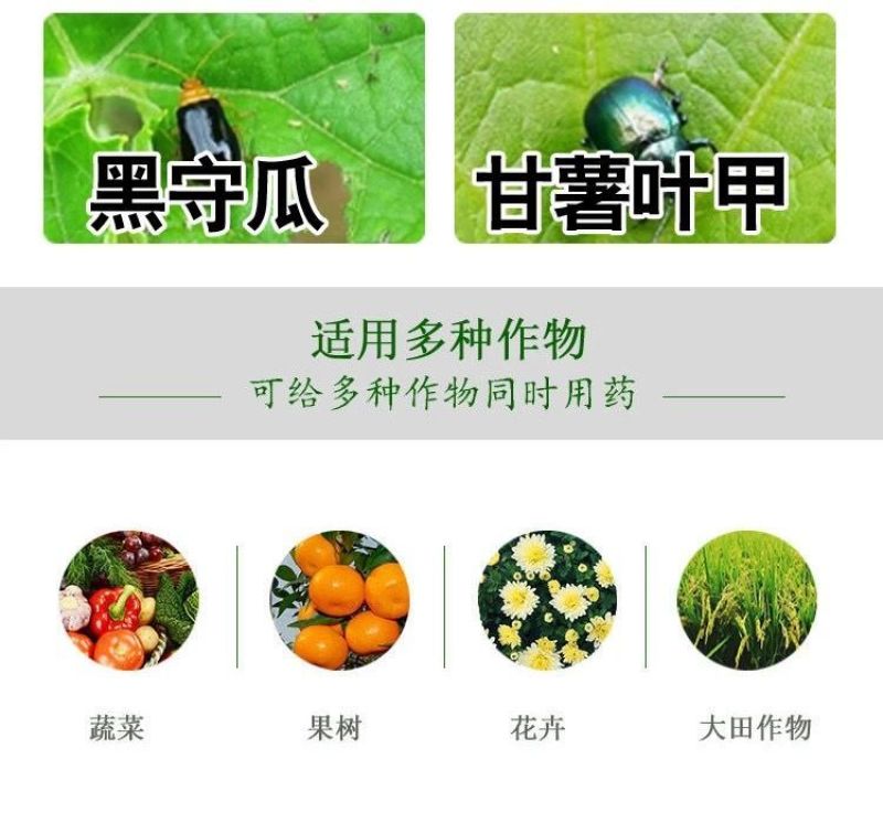 众联益农破甲蔬菜叶菜小白菜黄条跳甲专用农药杀虫剂啶虫脒