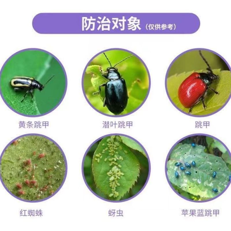 众联益农破甲蔬菜叶菜小白菜黄条跳甲专用农药杀虫剂啶虫脒