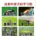 众联益农破甲蔬菜叶菜小白菜黄条跳甲专用农药杀虫剂啶虫脒