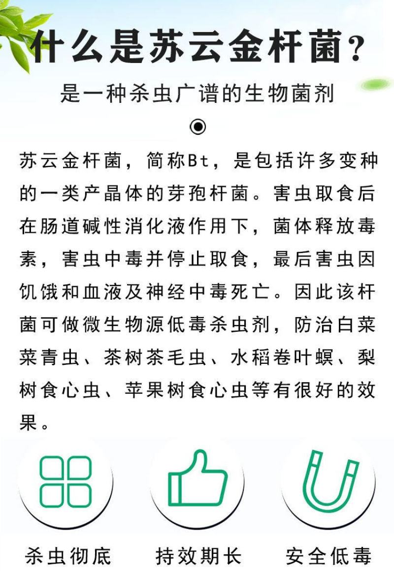背手笑一月无虫苏云金杆菌生物杀虫剂苏云金杆茵持效久Bt