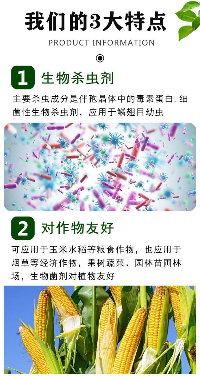 背手笑一月无虫苏云金杆菌生物杀虫剂苏云金杆茵持效久Bt