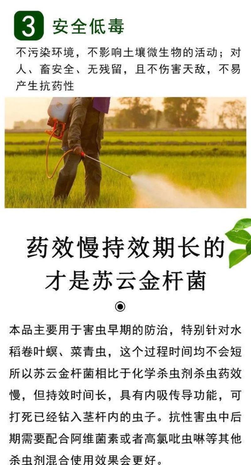 背手笑一月无虫苏云金杆菌生物杀虫剂苏云金杆茵持效久Bt