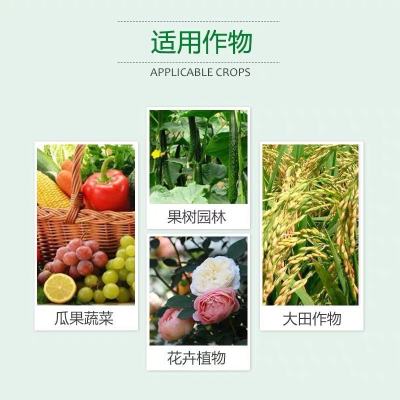 荣邦靶泰咪鲜胺.多菌灵黄瓜甜瓜冬炭疽病靶斑病专用杀菌剂