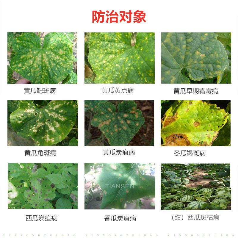 荣邦靶泰咪鲜胺.多菌灵黄瓜甜瓜冬炭疽病靶斑病专用杀菌剂