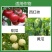 荣邦靶泰咪鲜胺.多菌灵黄瓜甜瓜冬炭疽病靶斑病专用杀菌剂