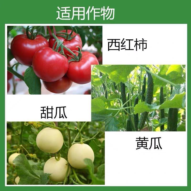 荣邦靶泰咪鲜胺.多菌灵黄瓜甜瓜冬炭疽病靶斑病专用杀菌剂