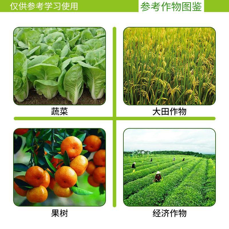 顶硬上秀田甲氨基阿维菌素钻心虫小菜蛾吊丝虫农药杀虫剂
