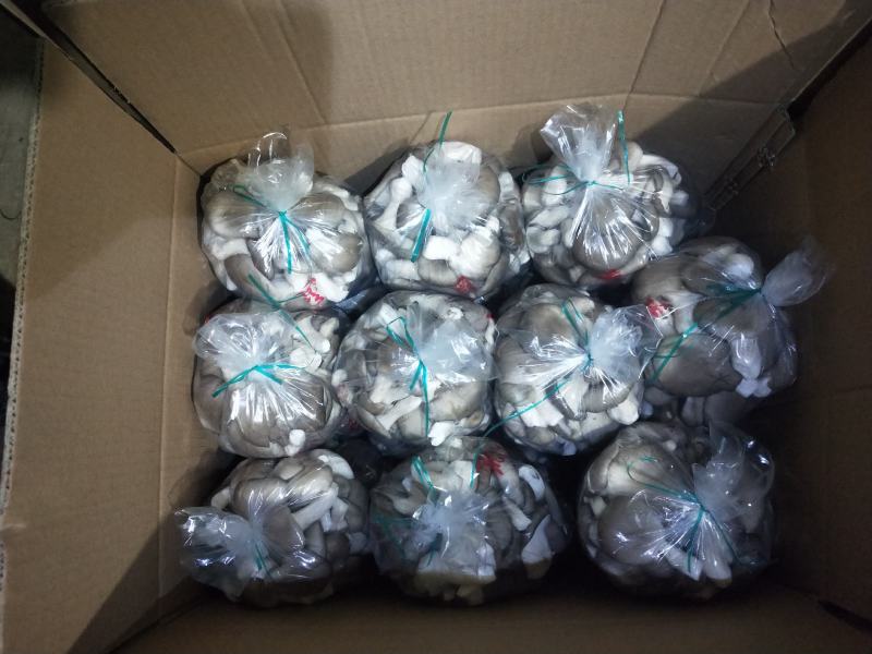 精品秀珍菇，各种包装，支持全国发货/对接电商商超