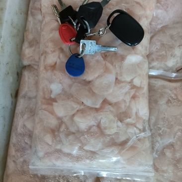 长期供应批发冻板白鲢鱼泡每包2斤装个子大干净卫生