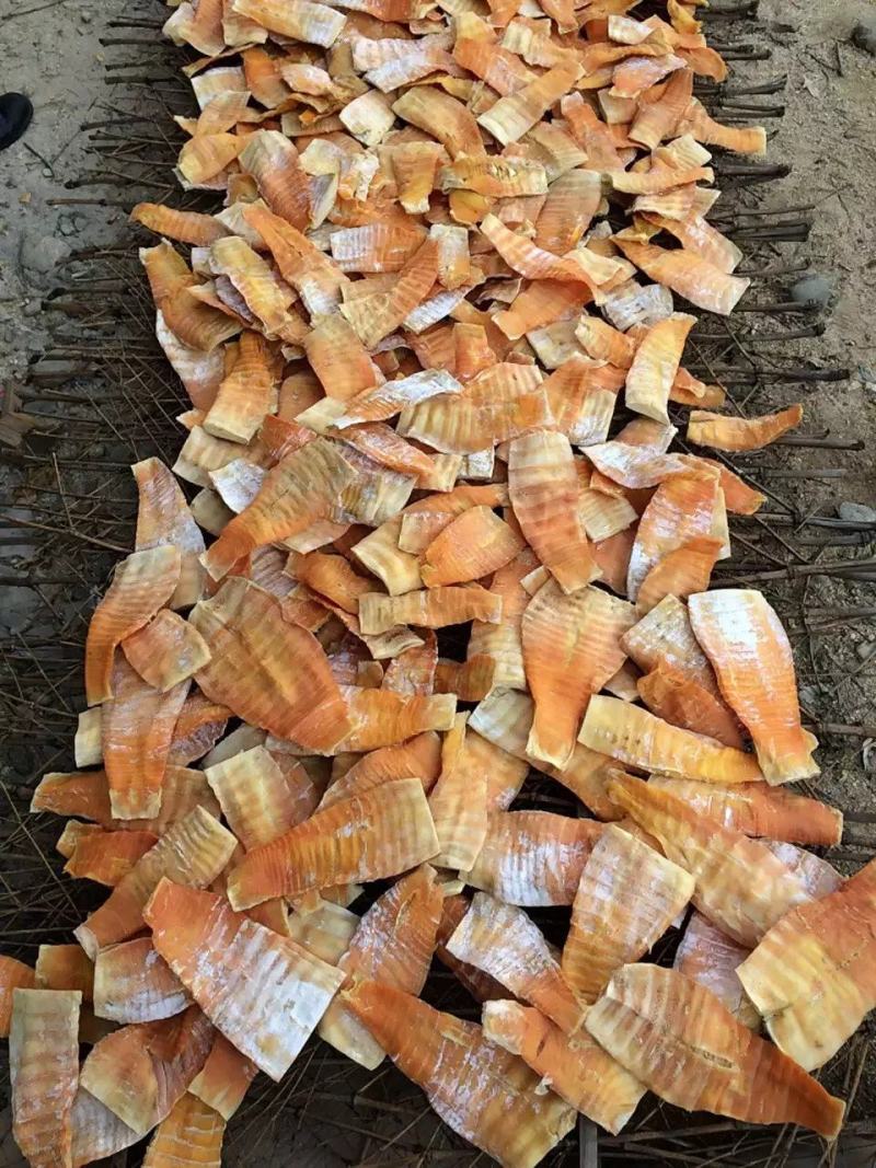 凤尾笋干新货嫩笋片笋干冬笋笋尖毛竹笋楠竹笋类食材量大批发