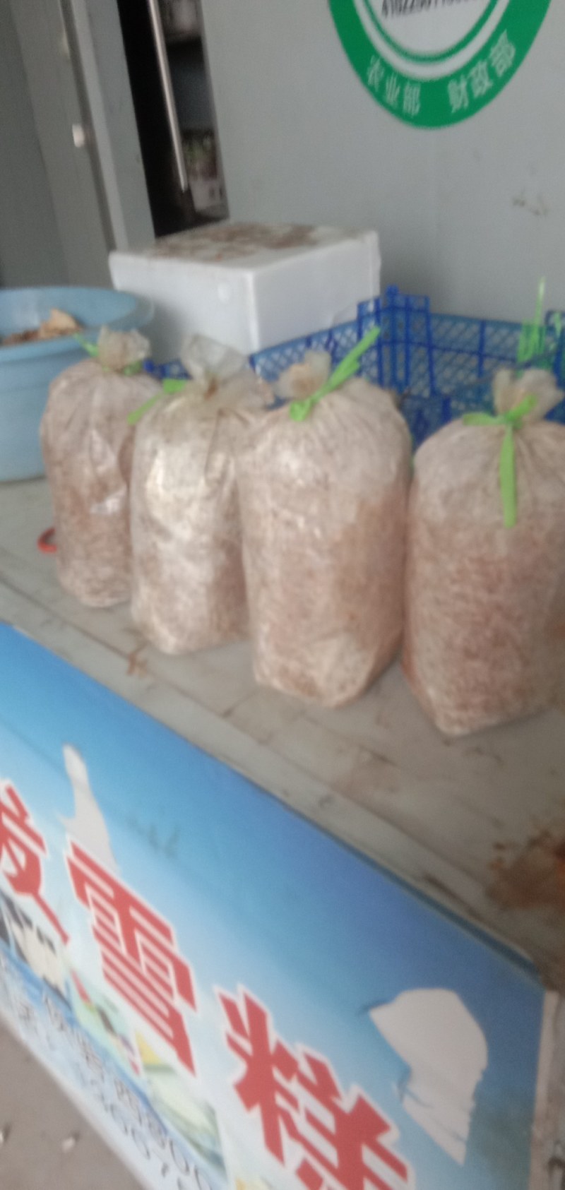 供应平菇菌种，生产剩余菌种保本销售。