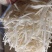 细笋丝新货笋片老片细笋丝江西农户开仓笋原料批发
