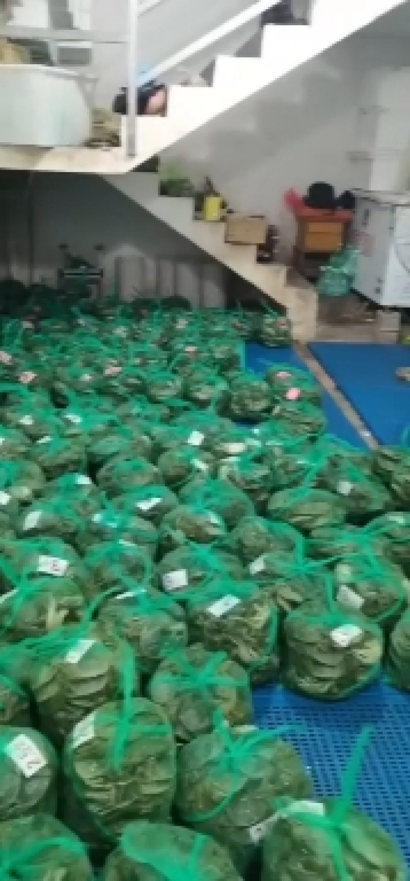 六月黄蟹精品老头蟹公母通货大量供应，现已大量上市