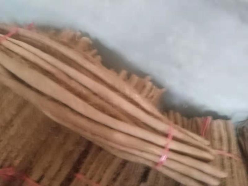 河北山药，铁棍山药。产地直供，规格齐全！欢迎来电！