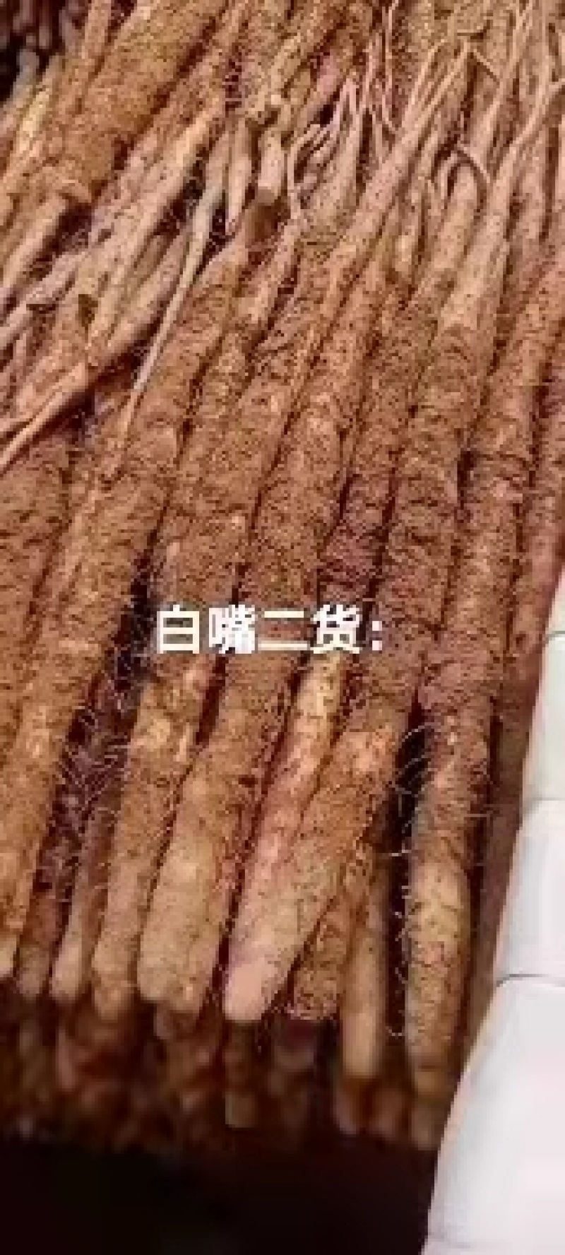 河北山药，铁棍山药。产地直供，规格齐全！欢迎来电！