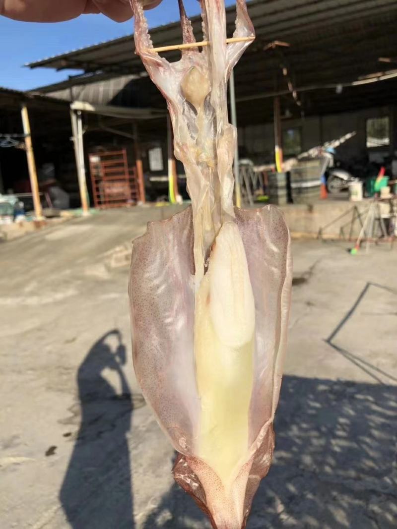 东山岛特级鱿鱼母，七八只一斤，鱿鱼干，送礼佳品