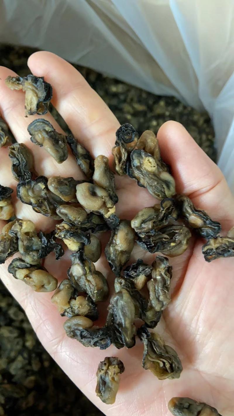福建特产，特级海蛎干，小珠蛎，小小珠，干度好，不会腥