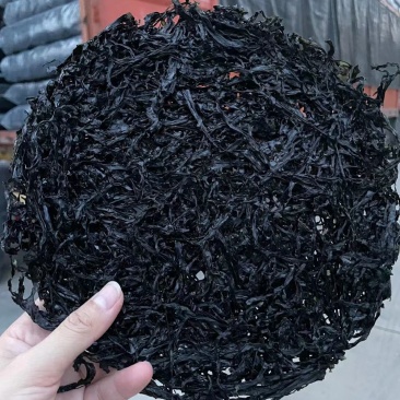 福建霞浦特级头水紫菜，细，亮，干净无沙，香脆