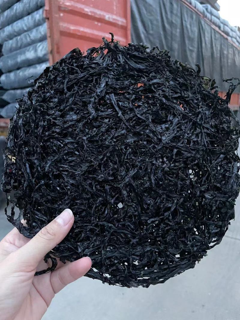 福建霞浦特级头水紫菜，细，亮，干净无沙，香脆