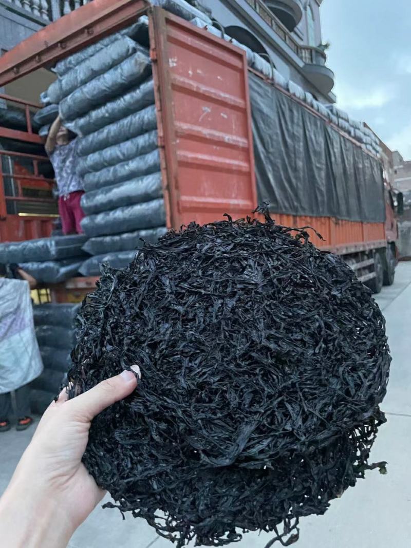 福建霞浦特级头水紫菜，细，亮，干净无沙，香脆