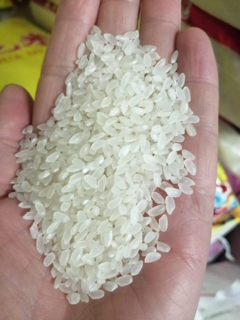 长粒米抛光色选，米质光亮，口感松软，有任性