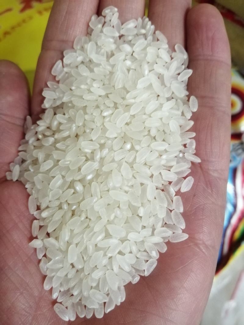 长粒米抛光色选，米质光亮，口感松软，有任性