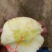 你在找阿克苏吗？请来这里！