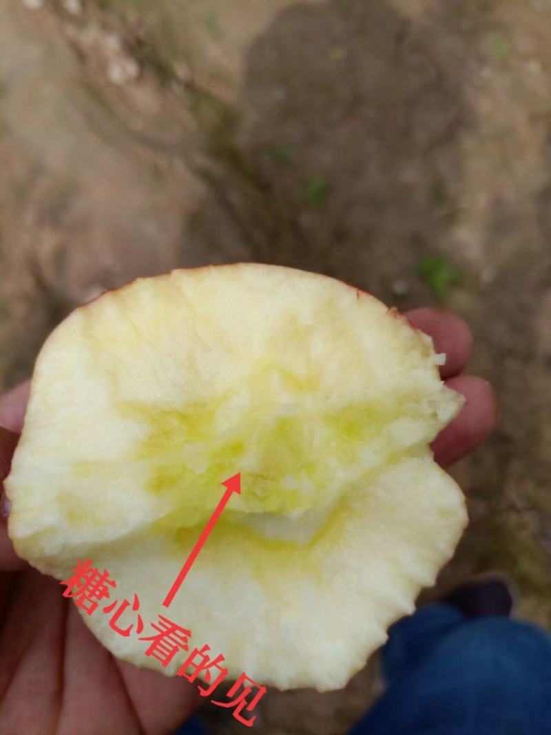 你在找阿克苏吗？请来这里！