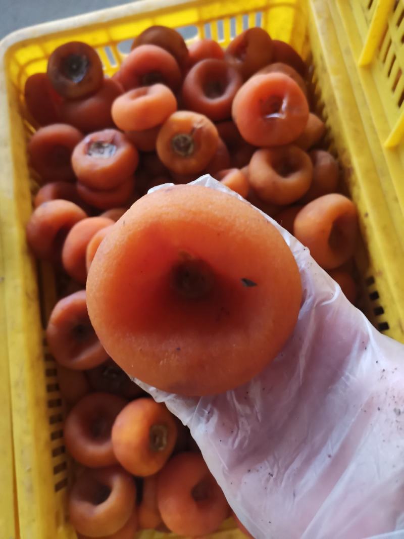 大特饼柿饼，广西柿饼大量上市，原产地桂林柿饼柿子干柿子饼