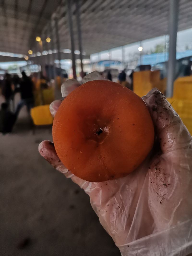 大特饼柿饼，广西柿饼大量上市，原产地桂林柿饼柿子干柿子饼