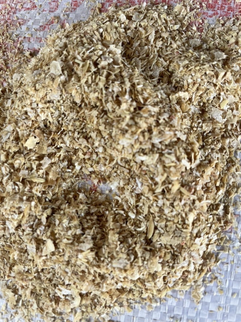 金沙河麸皮装车中欢迎订购五得利益海中粮特价麸皮出货