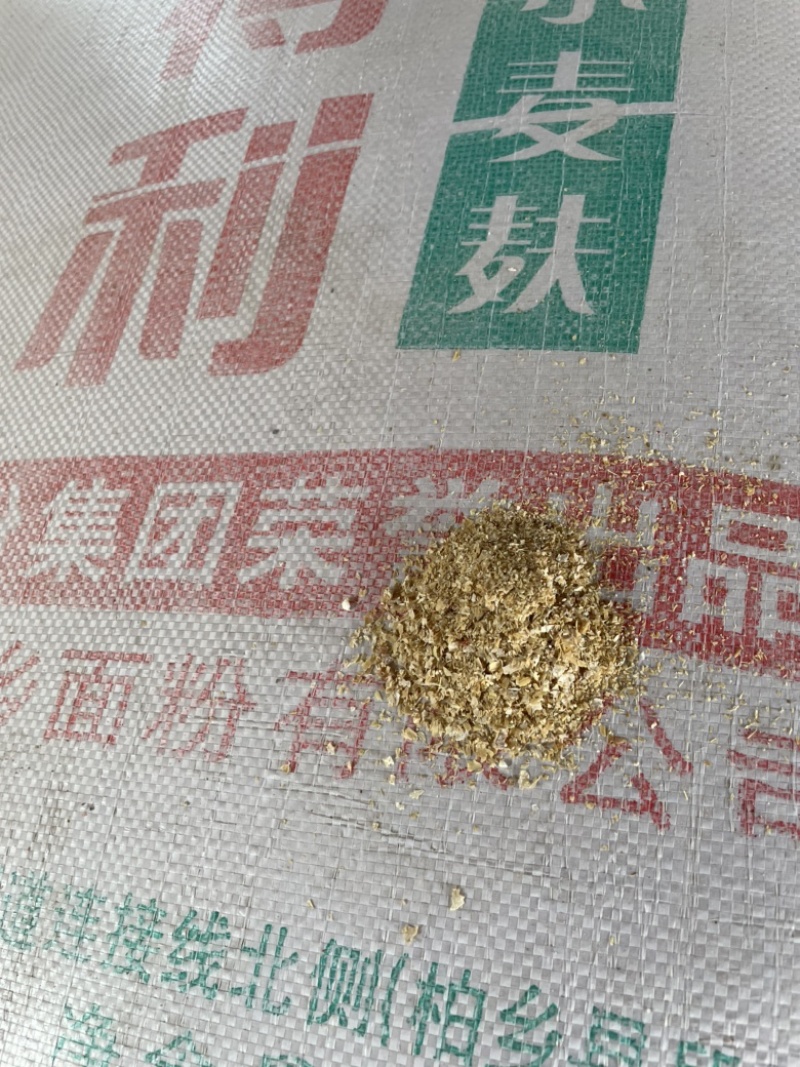 金沙河麸皮装车中欢迎订购五得利益海中粮特价麸皮出货