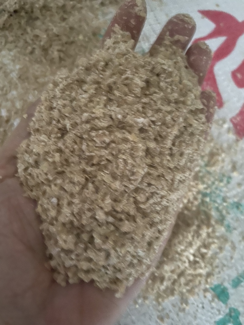 金沙河麸皮装车中欢迎订购五得利益海中粮特价麸皮出货
