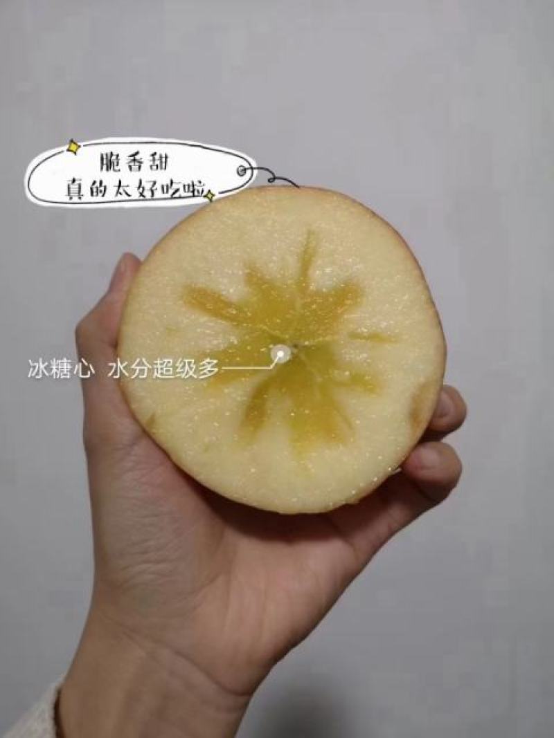 供应冰糖心红富士苹果