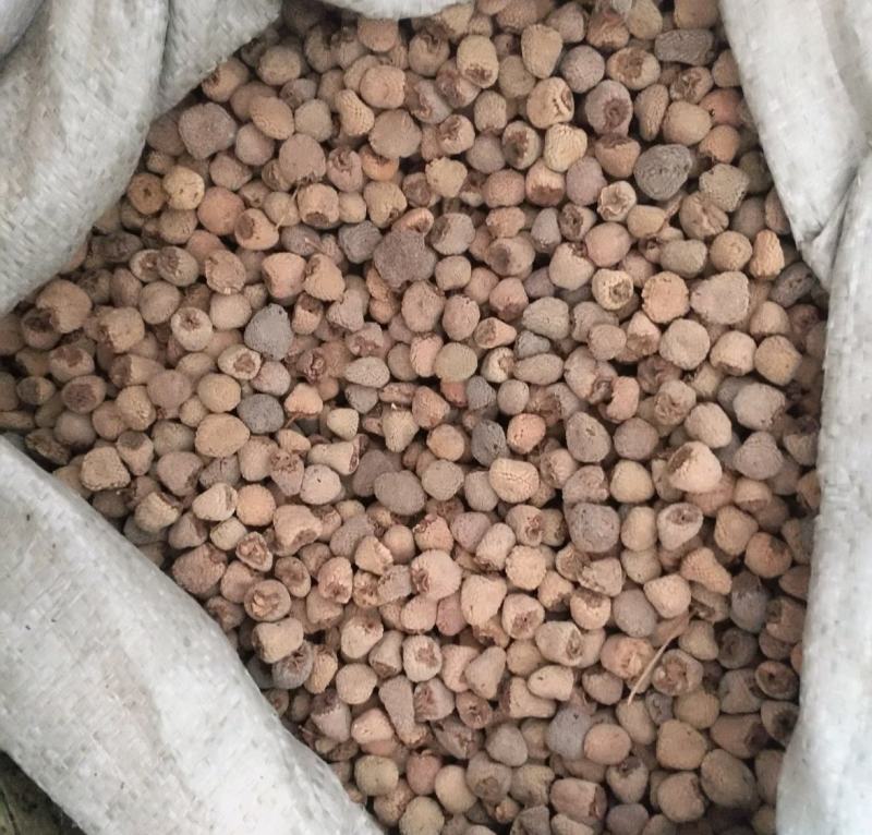 振兴药材批发供应覆盆子规格齐全产地直供一手货源全国发货