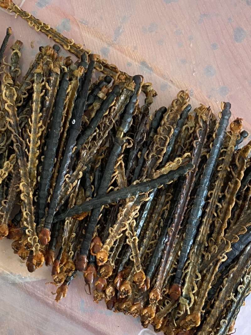 蜈蚣湖北红头大蜈蚣8-16公分蜈蚣肉不带竹签干蜈蚣泡酒