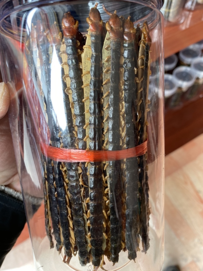 蜈蚣湖北红头大蜈蚣8-16公分蜈蚣肉不带竹签干蜈蚣泡酒