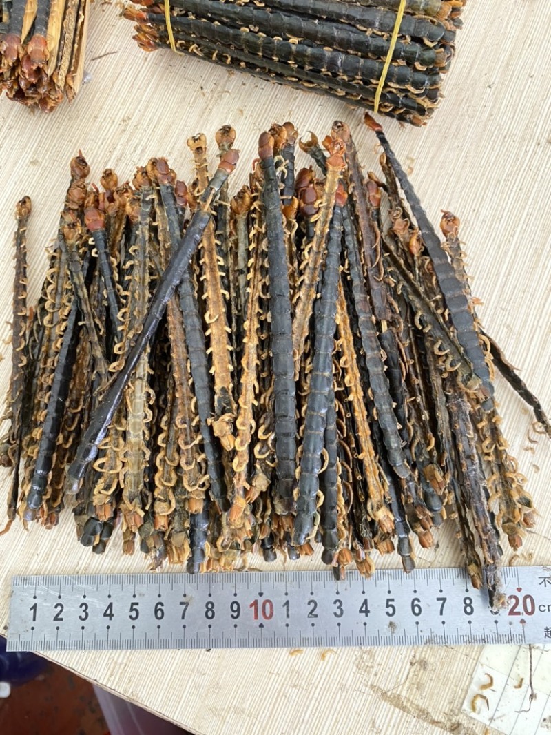蜈蚣湖北红头大蜈蚣8-16公分蜈蚣肉不带竹签干蜈蚣泡酒