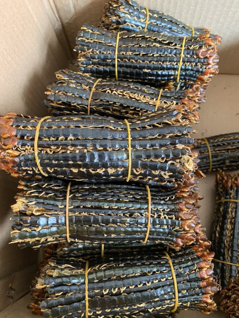 蜈蚣湖北红头大蜈蚣8-16公分蜈蚣肉不带竹签干蜈蚣泡酒